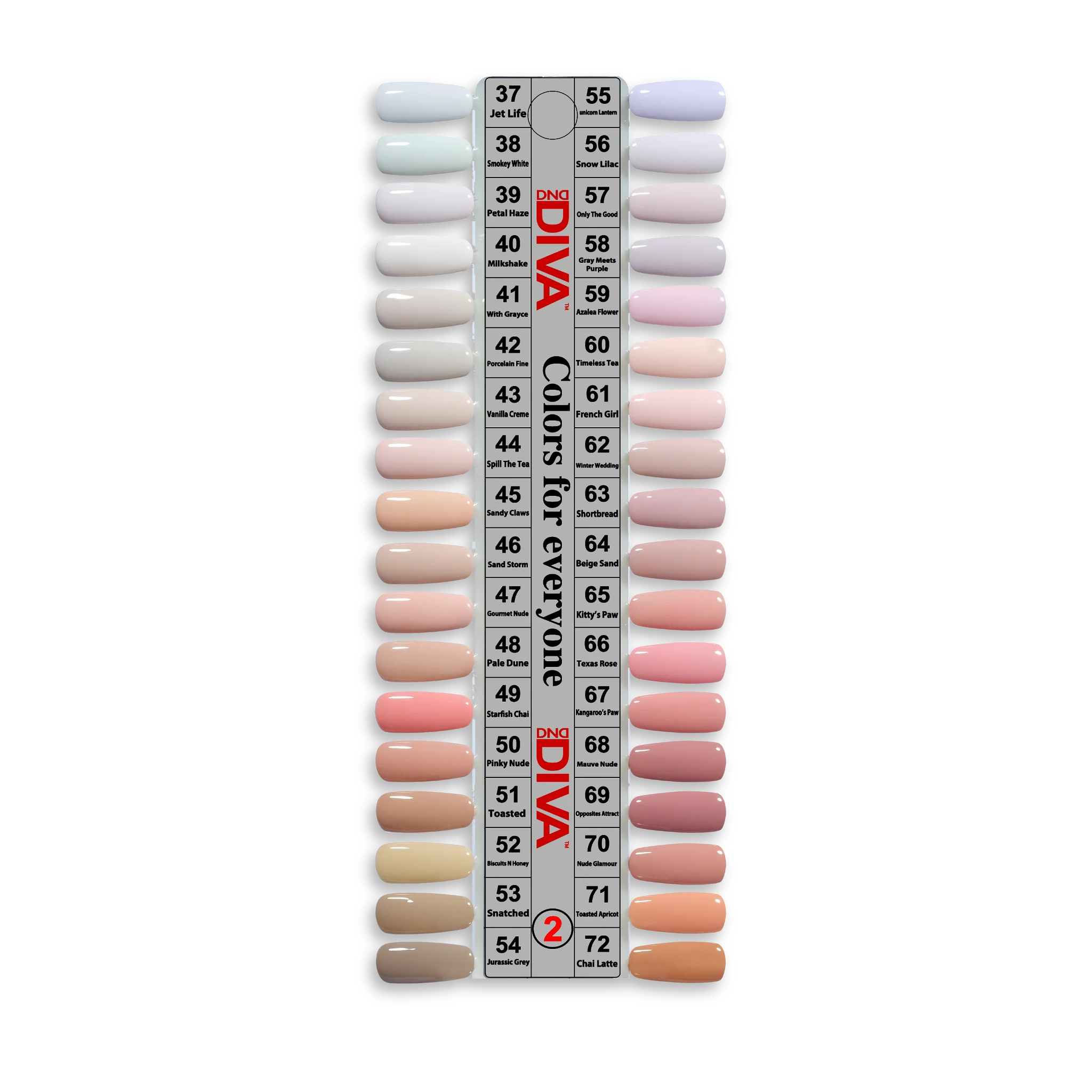 DIVA Frosted Chai Collection - 36 Set